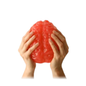 World's Largest Gummy Brain