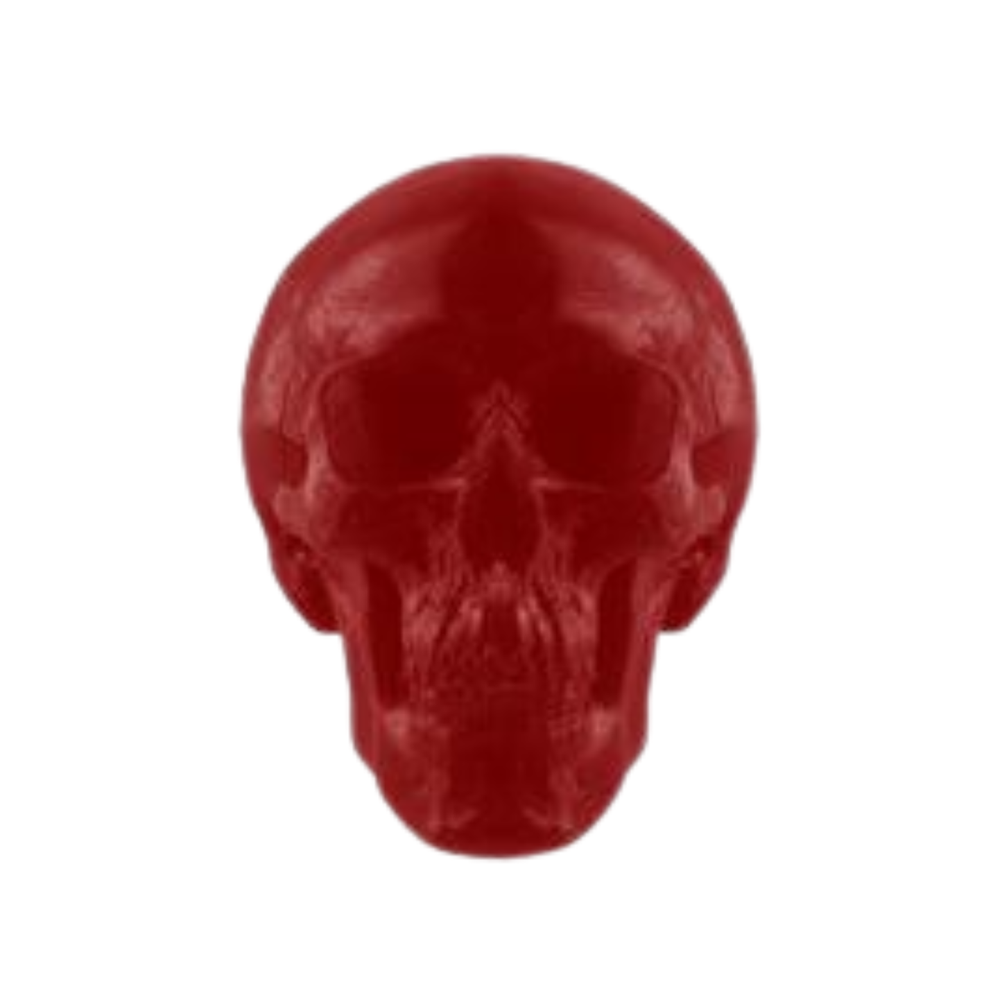 World's Largest Gummy Skull