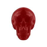 World's Largest Gummy Skull
