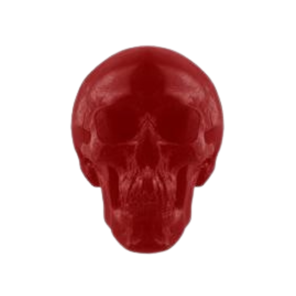 World's Largest Gummy Skull
