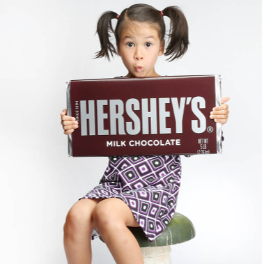 5LB MEGA Hershey's Chocolate Bar