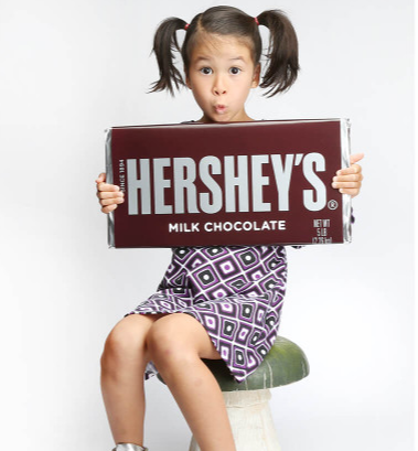 5LB MEGA Hershey's Chocolate Bar