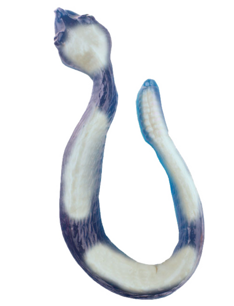 Giant Gummy Snake