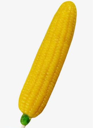 Giant Corn on the Cob