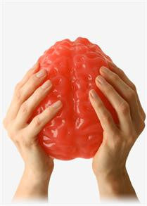 World's Largest Gummy Brain