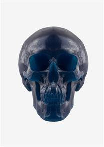 World's Largest Gummy Skull