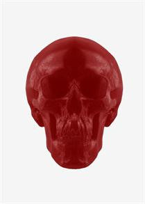 World's Largest Gummy Skull
