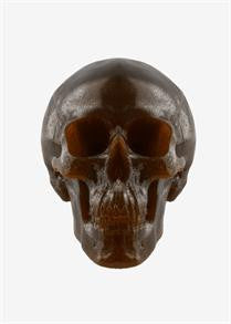 World's Largest Gummy Skull
