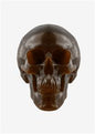 World's Largest Gummy Skull