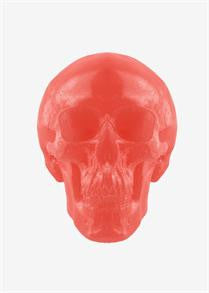 World's Largest Gummy Skull