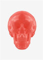 World's Largest Gummy Skull