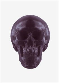 World's Largest Gummy Skull