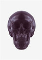 World's Largest Gummy Skull